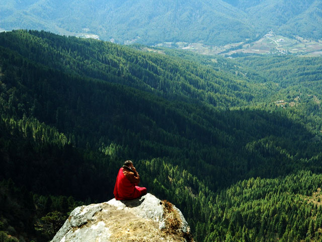 Bumthang Owl Trek Forested Ridge
